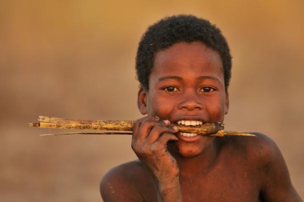Madagaszkár, a kincses-sziget (médiapályázat)