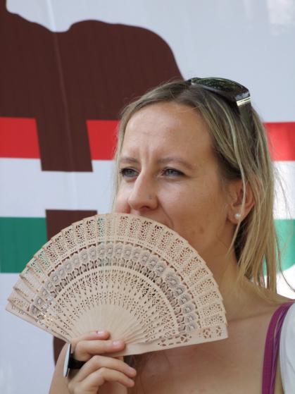 DSCF0006_419x559