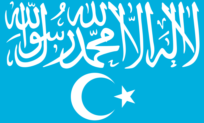 Flag of Turkistan Islamic Party.svg