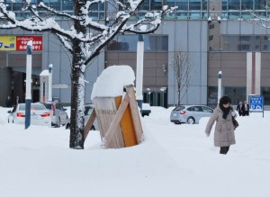 JAPAN-WEATHER-SNOW