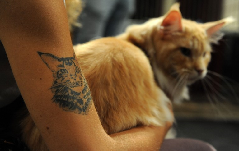 New York betiltotta a háziállatok tetoválását