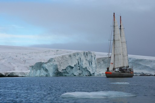 Mesterséges Északi-sarkkal védenék a jegesmedvéket