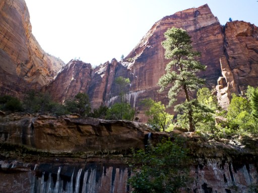 Csodák völgye: a Zion kanyon