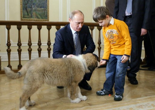 A Télapó-pótló Putyin kiskutyás cukisága