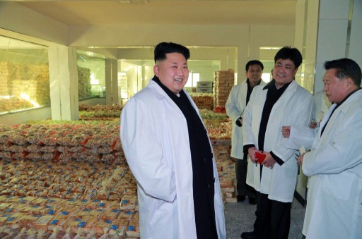 7 százalékos gazdasági növekedés Észak-Koreában, háztájikkal