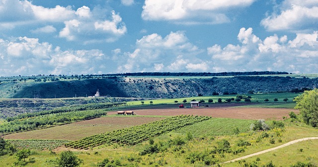 Világbanki támogatás a moldovai mezőgazdaságnak