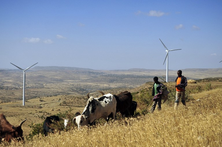 Afrika munkára fogja a szelet