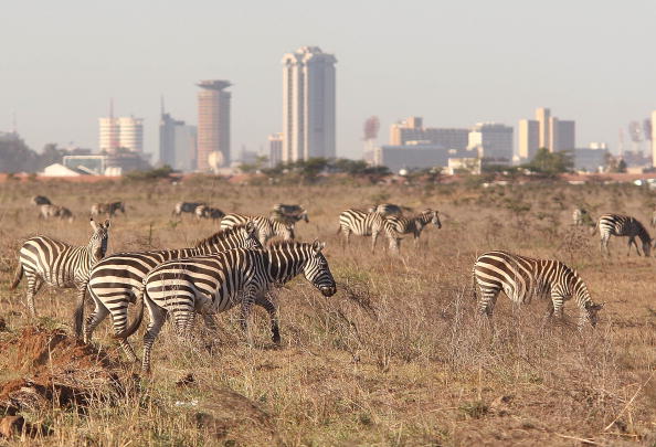 Addig látogasson el Kenyába, Madagaszkárra vagy Mianmarba, amíg nem késő