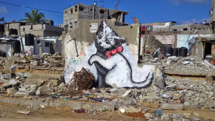 Ezt festette Banksy a gázai tűzfalakra (videó)