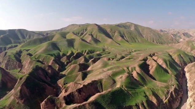 Így zöldül ki eső után a sivatag – videó