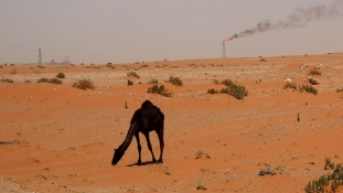 Miért járatják csúcsra a szaúdiak az olajtermelést?