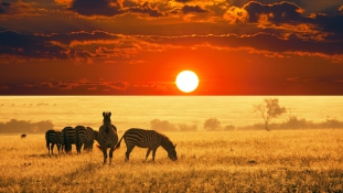 Top 10: Afrika legjobb szafariparkjai 2015-ben