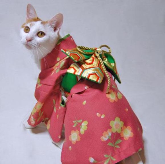 kimonocat05