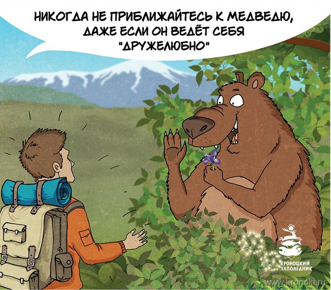 Akármilyen barátságosnak is tűnik a medve, ne merészkedjünk a közelébe!