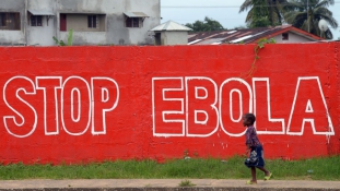 Hazaengedték az utolsó ebolás beteget Sierra Leonéban