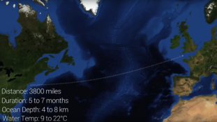 Az Atlanti-óceánt készül átúszni egy botswanai sportember (videóval)