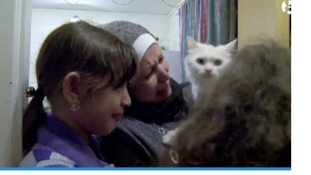 Norvégiába követte a macskája a menekült iraki családot