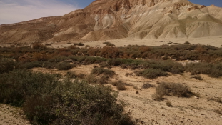 Hátizsákkal a Negev-sivatagban – fotók