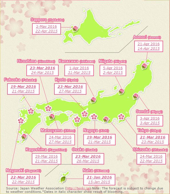 Sakura-elorejelzes-Japan-National-Tourism-Organisation