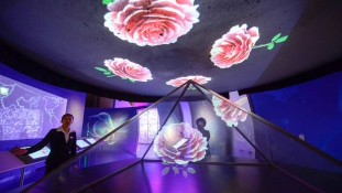 Rózsamúzeum 3D-ben – a rózsapálinka és a magyar kohászok Kína közepén