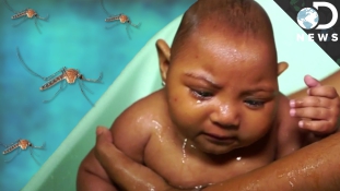 Puerto Ricóban rendkívüli állapotot hirdettek a zikavírus miatt
