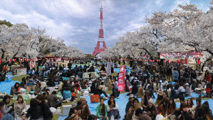 Így nézne ki a világ, ha Tokió lenne