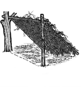 lean-to-shelter-3