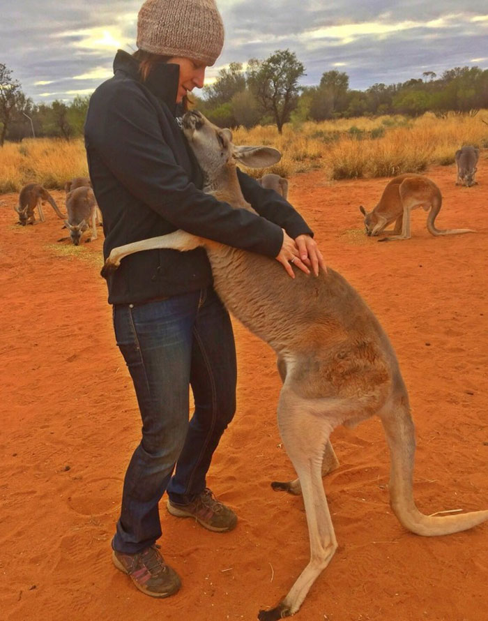 rescued-hugging-kangaroo-abigail-australia-3