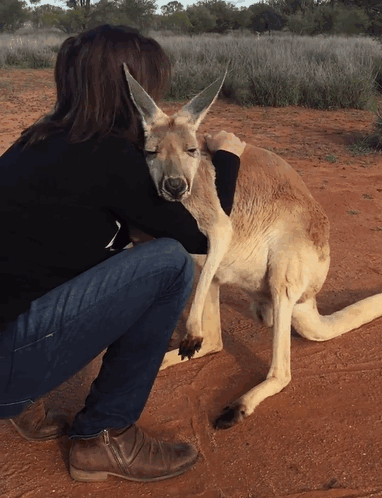 rescued-hugging-kangaroo-abigail-australia-5