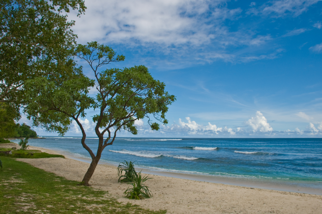 010101vanuatu