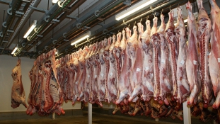150 országba exportált romlott húst egy brazil óriáscég
