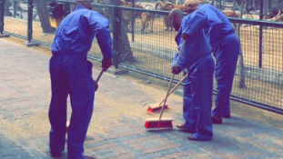 Hónapokig takaríthatja az állatkertet az idióta, aki élő macskával etette a kutyáit