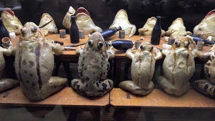Kitömött békák, leprás testrészek és varrógépek – Svájc, a bizarr múzeumok Mekkája
