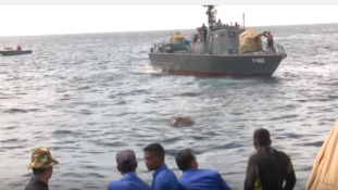 Elefánt a tengerben – a haditengerészet mentette ki (videó)