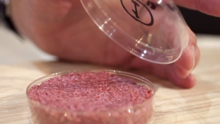 Ez a jövő – laboratóriumban készülő húsba fektet Bill Gates