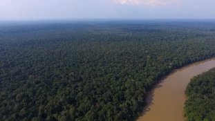 Drón vigyázza az Amazonas őserdeiben élő állatokat – videó