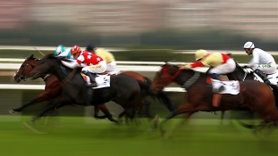Genetikailag megtervezett lovak nyerhetik a versenyeket a jövőben
