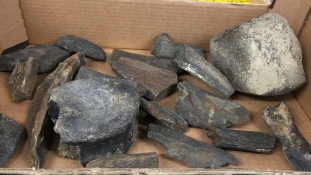 5 millió éves mamutcsontokat hagyott valaki egy adományboltban