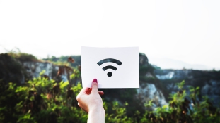 A WiFi és a természet: a kommunikációs hálózatok veszélyeztetik az állat- és növényfajokat