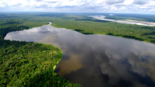 Utolsó mohikán Amazóniában