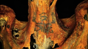 Fiatal nőé a 3 ezer éves tetovált múmia