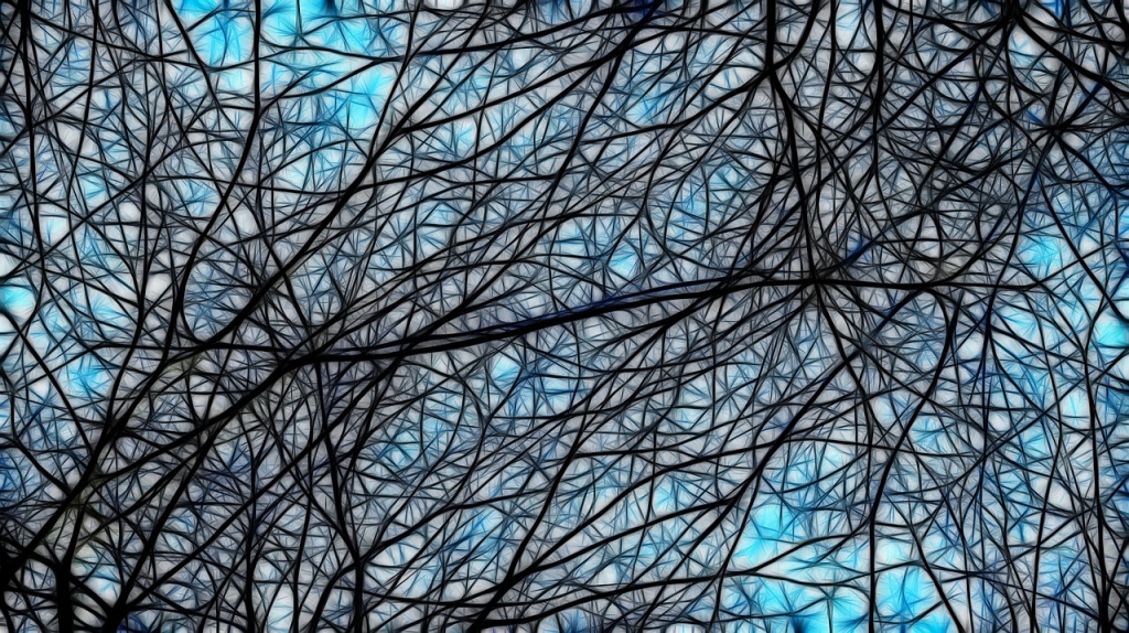 000brain3