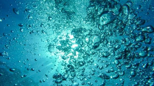 Megmentheti az óceánokat: percek alatt bomlik le a vízben az új típusú műanyag