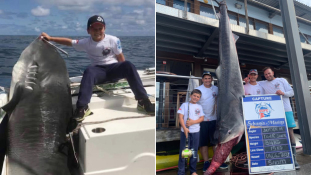 314 kilós cápát fogott egy kisfiú Ausztráliában