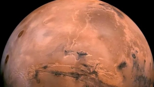 Van élet a Marson – rovarszerű lények a NASA fotóin