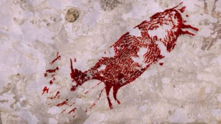 44 ezer éves festményt találtak Celebeszen