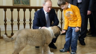 A Télapó-pótló Putyin kiskutyás cukisága