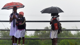 A „népi” meteorológia sikere Sri Lankán