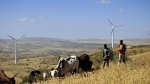 Afrika munkára fogja a szelet