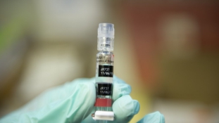 Harc a kanyaró elleni védőoltásért Kaliforniában